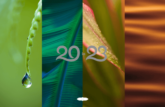 SLD Calendar Cover