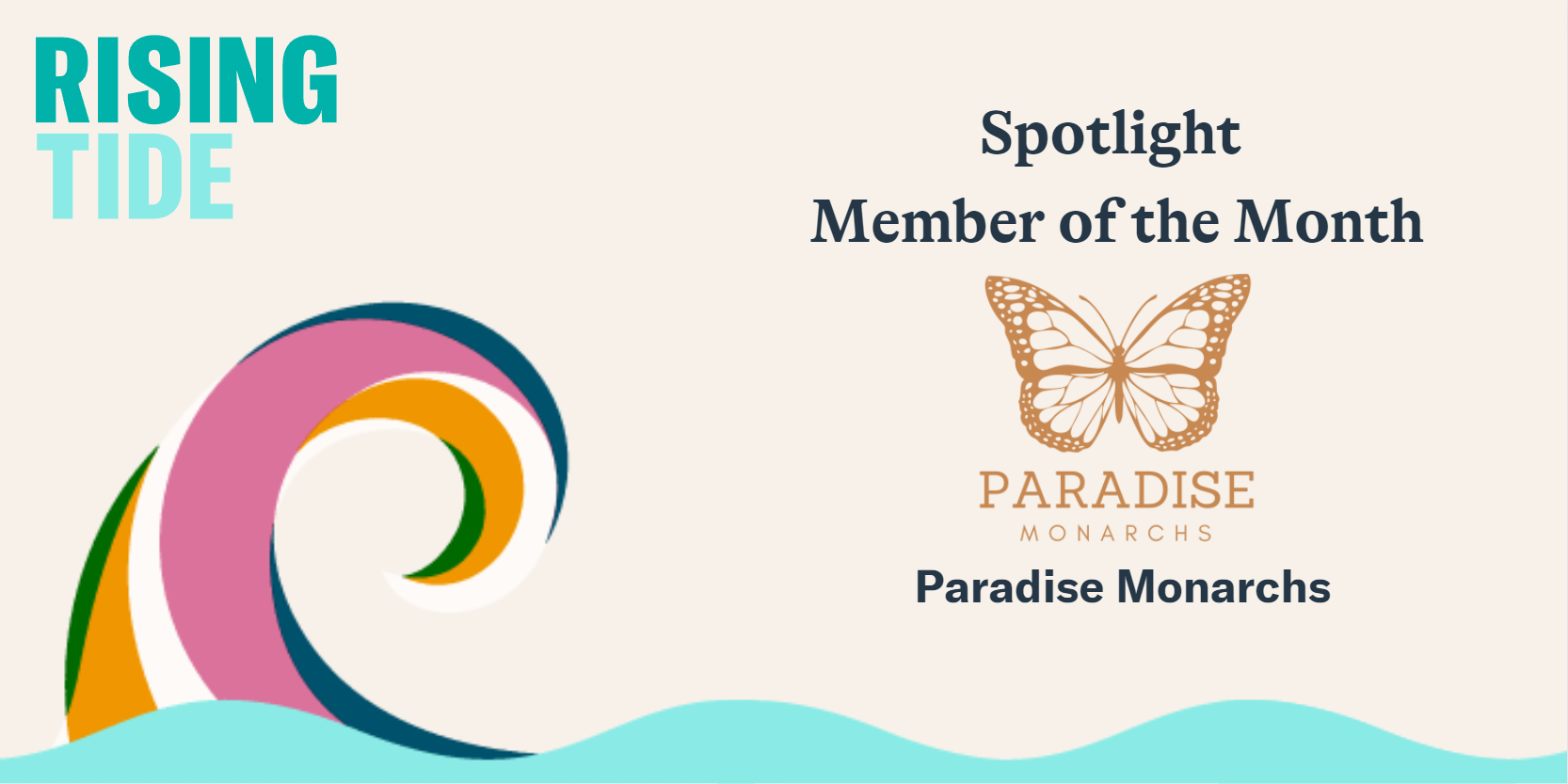 Spotlight Member of the Month: Paradise Monarchs
